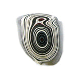 DVH Ford F150 Fordite Specimen Polished Face Rough KC Assembly (5738)