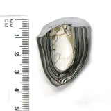 DVH Ford F150 Fordite Specimen Polished Face Rough KC Assembly (5738)