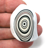 DVH Ford F150 Fordite Specimen Polished Face Rough KC Assembly (5741)