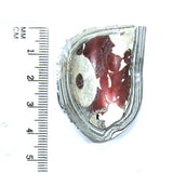 DVH Ford F150 Fordite Specimen Polished Face Rough KC Assembly (5741)