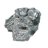 DVH Ford F150 Fordite Specimen Polished Face Rough KC Assembly (5917)