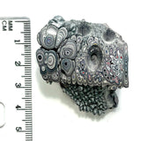 DVH Ford F150 Fordite Specimen Polished Face Rough KC Assembly (5917)