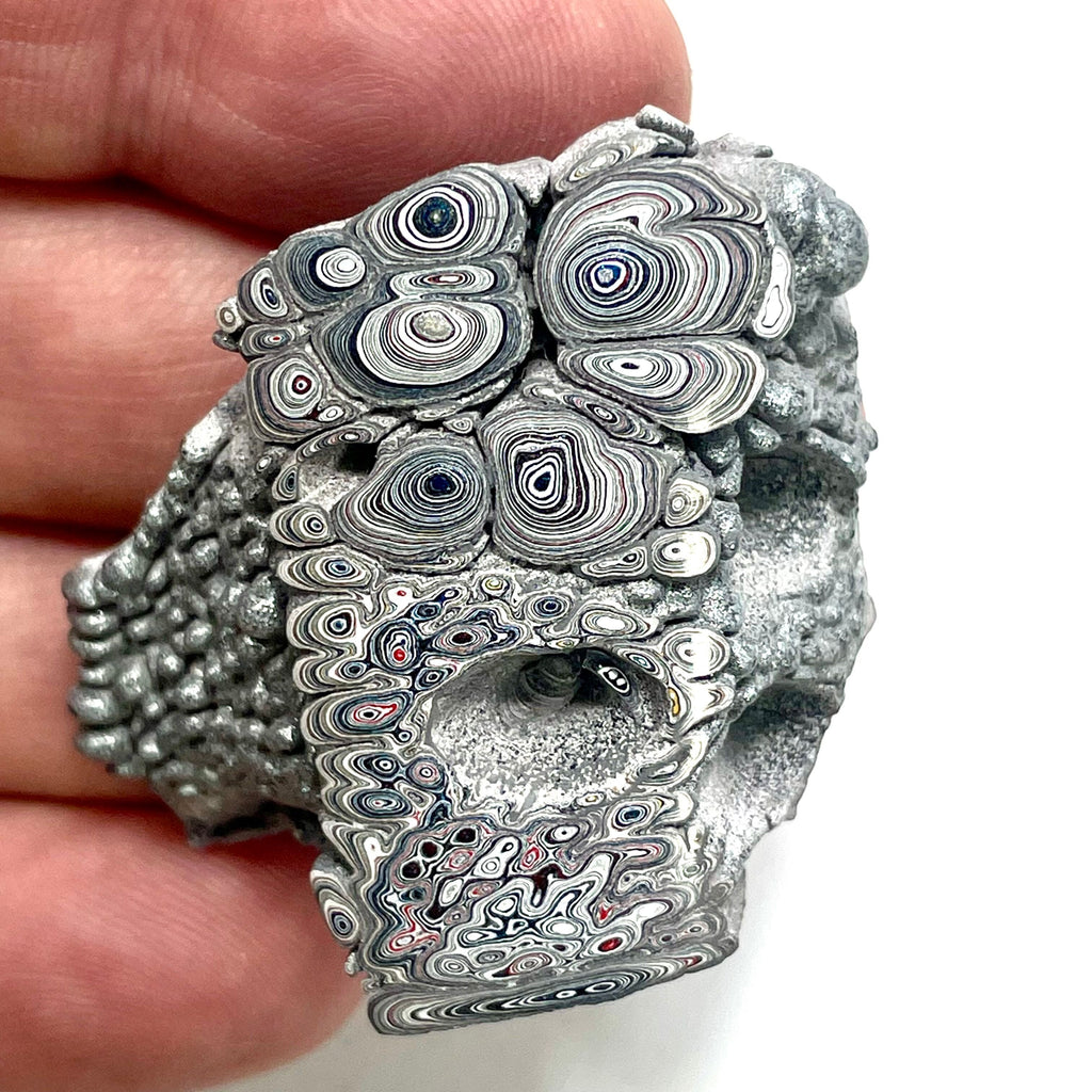 DVH Ford F150 Fordite Specimen Polished Face Rough KC Assembly (5917)