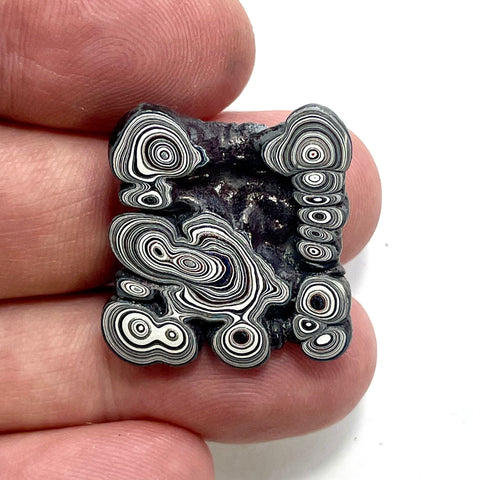DVH Ford F150 Fordite Specimen Polished Face Rough KC Assembly (5918)