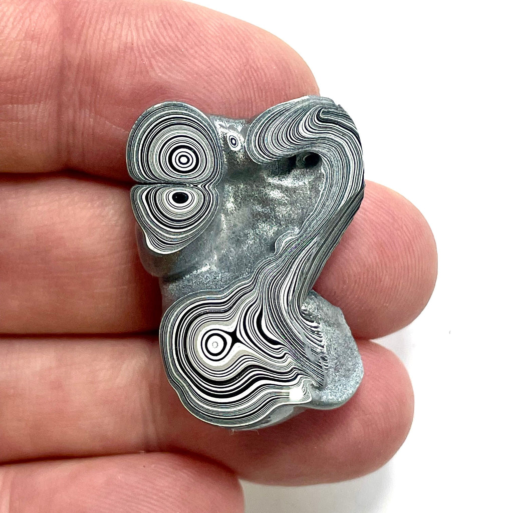 DVH Ford F150 Fordite Specimen Polished Face Rough KC Assembly (5919)