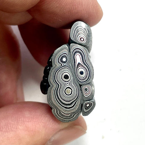 DVH Ford F150 Fordite Specimen Polished Face Rough KC Assembly (5921)