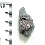 DVH Ford F150 Fordite Specimen Polished Face Rough KC Assembly (5921)