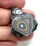 DVH Ford F150 Fordite Specimen Polished Face Rough KC Assembly (5922)