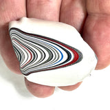 DVH Ford F150 Fordite Specimen Polished Face Rough KC Assembly (6086)