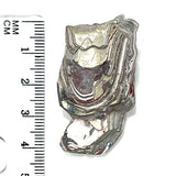 DVH Ford F150 Fordite Specimen Polished Face Rough KC Assembly (6088)