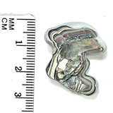 DVH Ford F150 Fordite Specimen Polished Face Rough KC Assembly (6090)