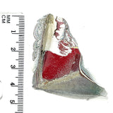 DVH Ford F150 Fordite Specimen Polished Face Rough KC Assembly (6092)