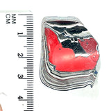 DVH Ford F150 Fordite Specimen Polished Face Rough KC Assembly (6097)
