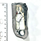 DVH Ford F150 Fordite Specimen Polished Face Rough KC Assembly (6098)