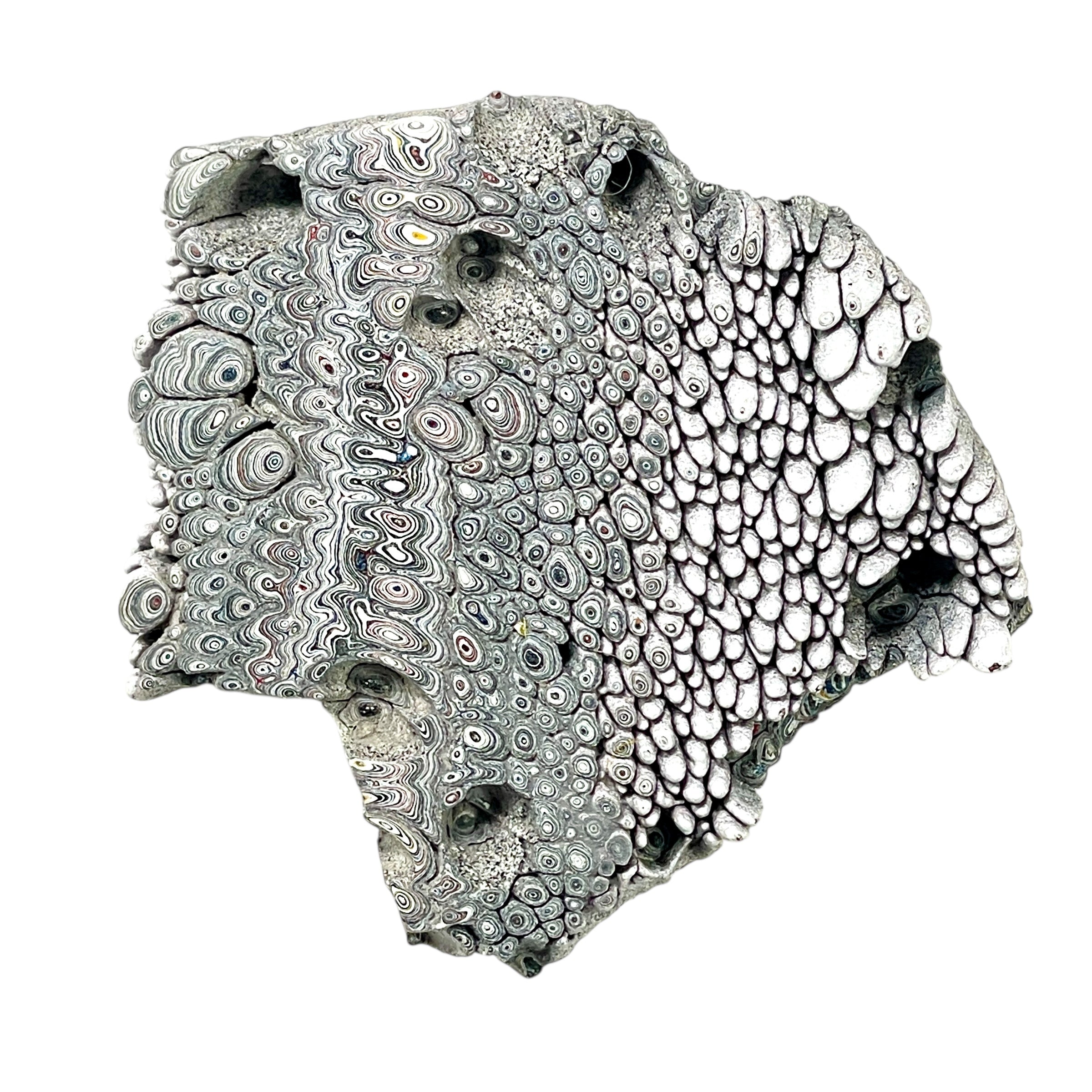 DVH Genuine Ford Fordite Polished Face Rough Dragon Scale KC Ass. (6244) - DVHdesigns