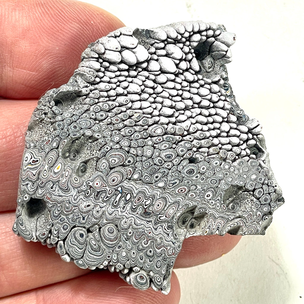 DVH Genuine Ford Fordite Polished Face Rough Dragon Scale KC Ass. (6244)