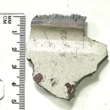 DVH Genuine Ford Fordite Polished Face Rough Dragon Scale KC Ass. (6244)