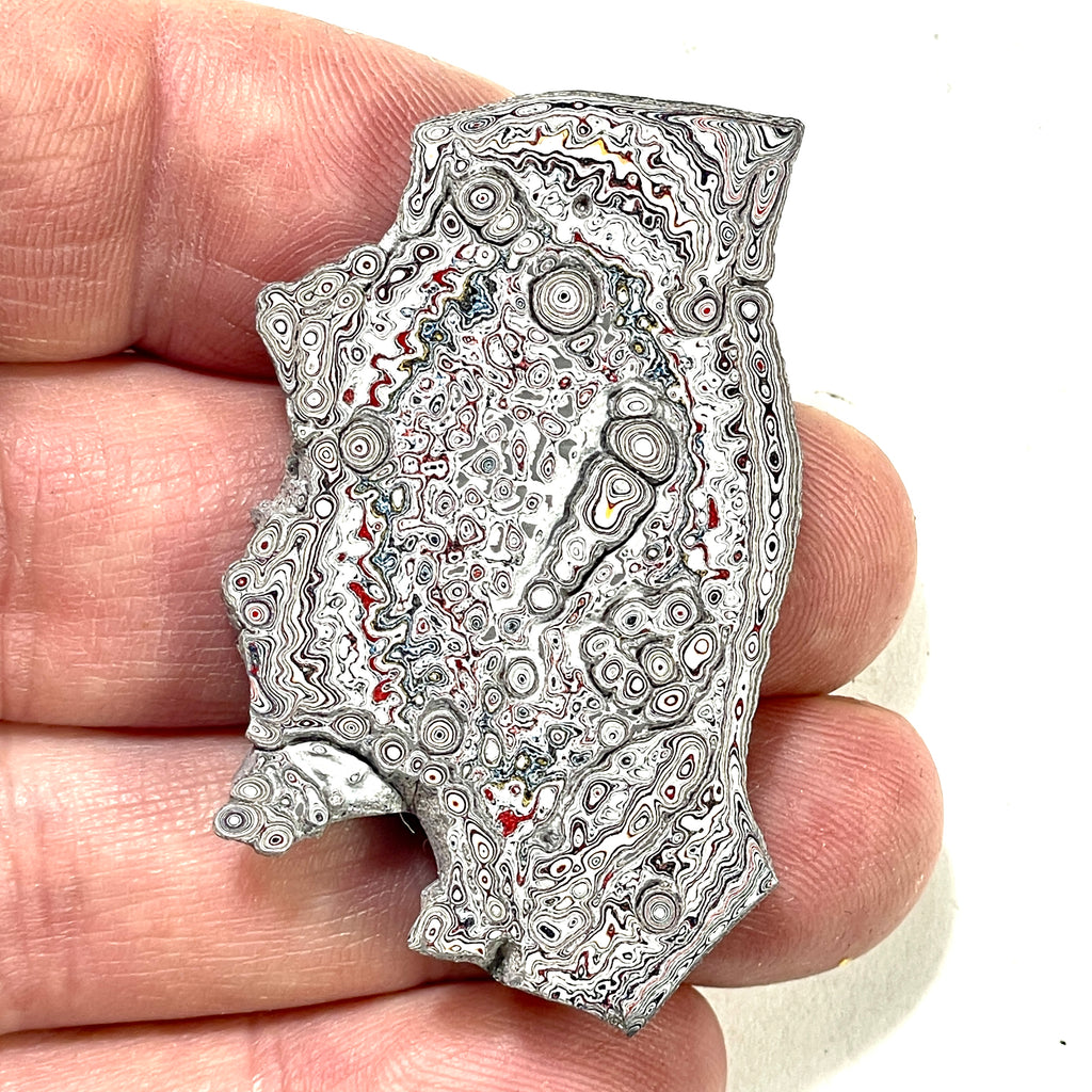 DVH Genuine Ford Fordite Polished Face Rough Dragon Scale KC Ass. (6245)