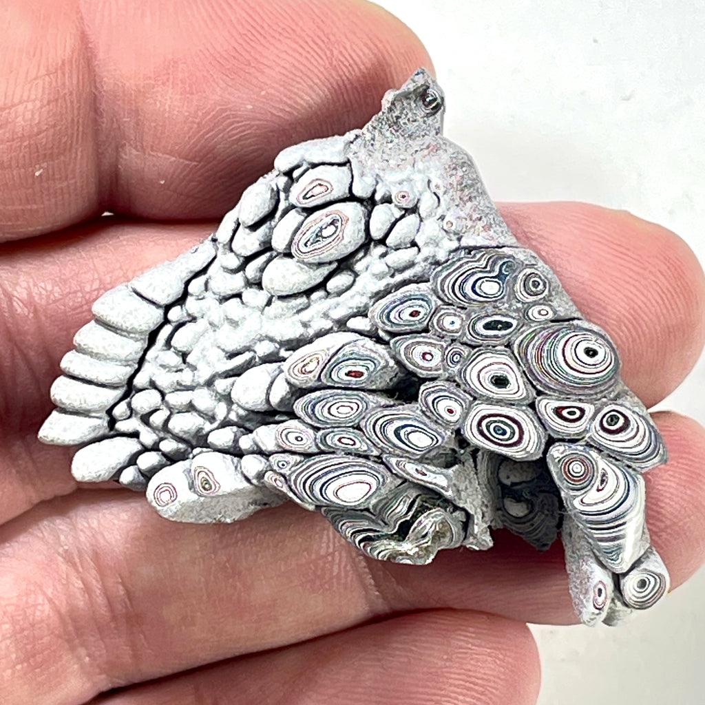 DVH Genuine Ford Fordite Polished Face Rough Dragon Scale KC Ass. (6246)