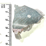 DVH Genuine Ford Fordite Polished Face Rough Dragon Scale KC Ass. (6246)