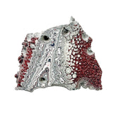 DVH Genuine Ford Fordite Polished Face Rough Dragon Scale KC Ass. (6247)