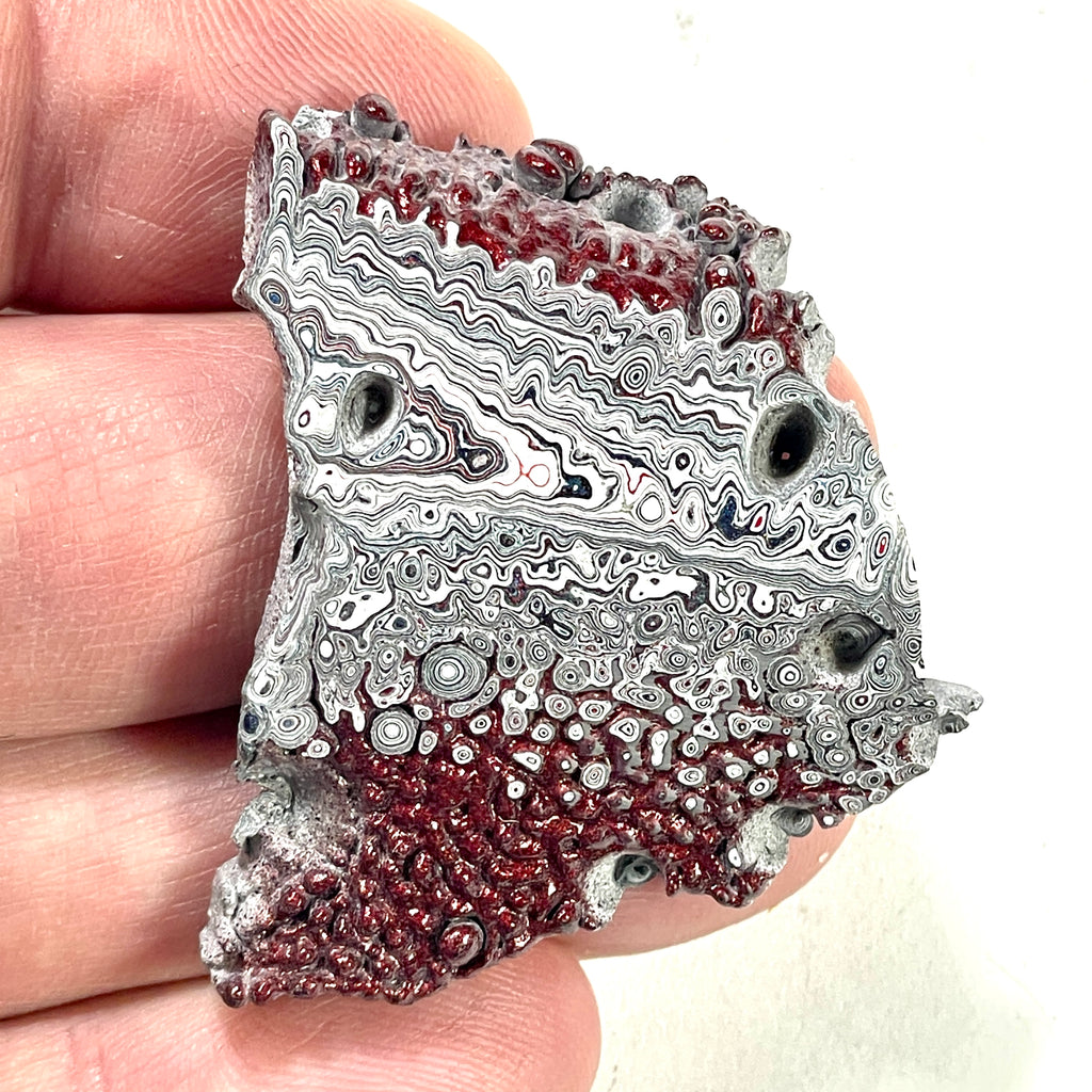 DVH Genuine Ford Fordite Polished Face Rough Dragon Scale KC Ass. (6247)