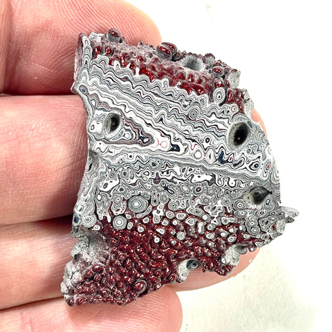 DVH Genuine Ford Fordite Polished Face Rough Dragon Scale KC Ass. (6247)