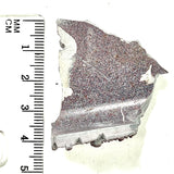 DVH Genuine Ford Fordite Polished Face Rough Dragon Scale KC Ass. (6247)