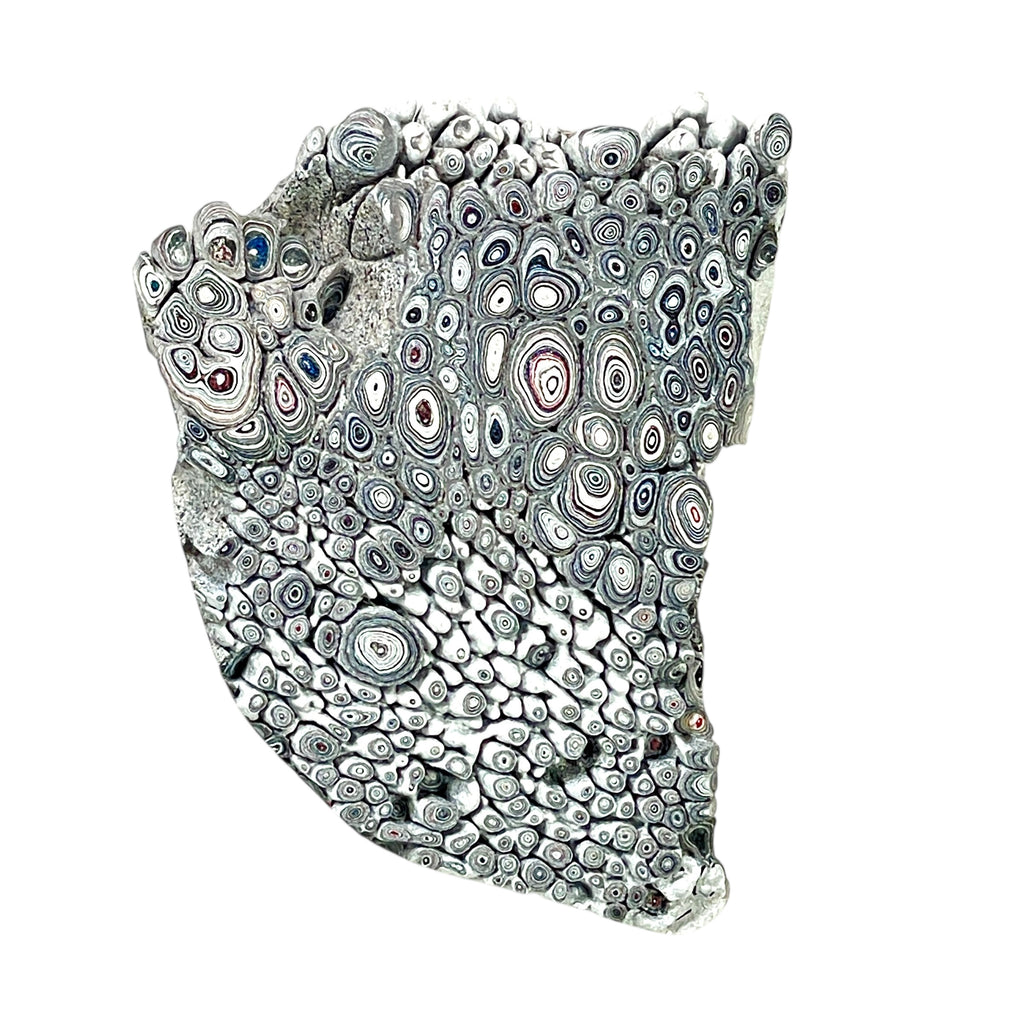 DVH Genuine Ford Fordite Polished Face Rough Dragon Scale KC Ass. (6248) - DVHdesigns