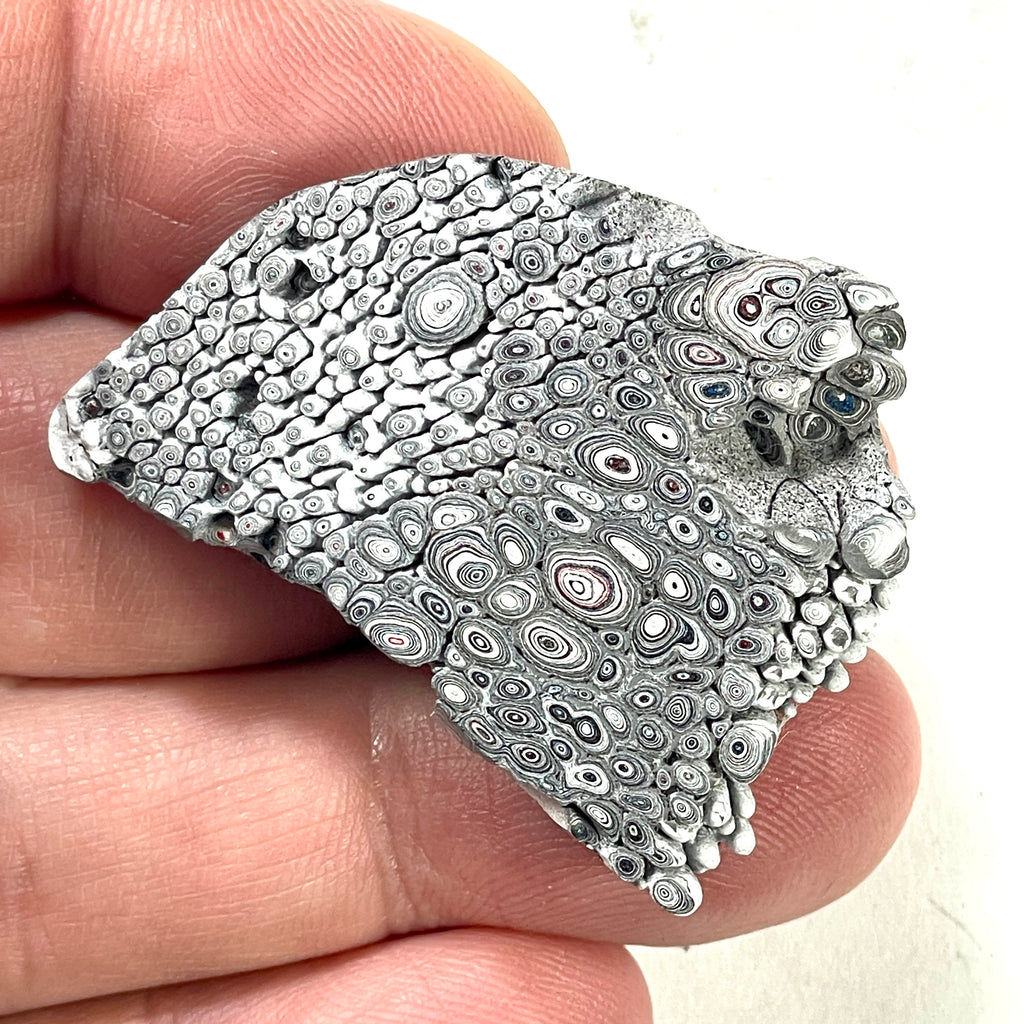 DVH Genuine Ford Fordite Polished Face Rough Dragon Scale KC Ass. (6248)