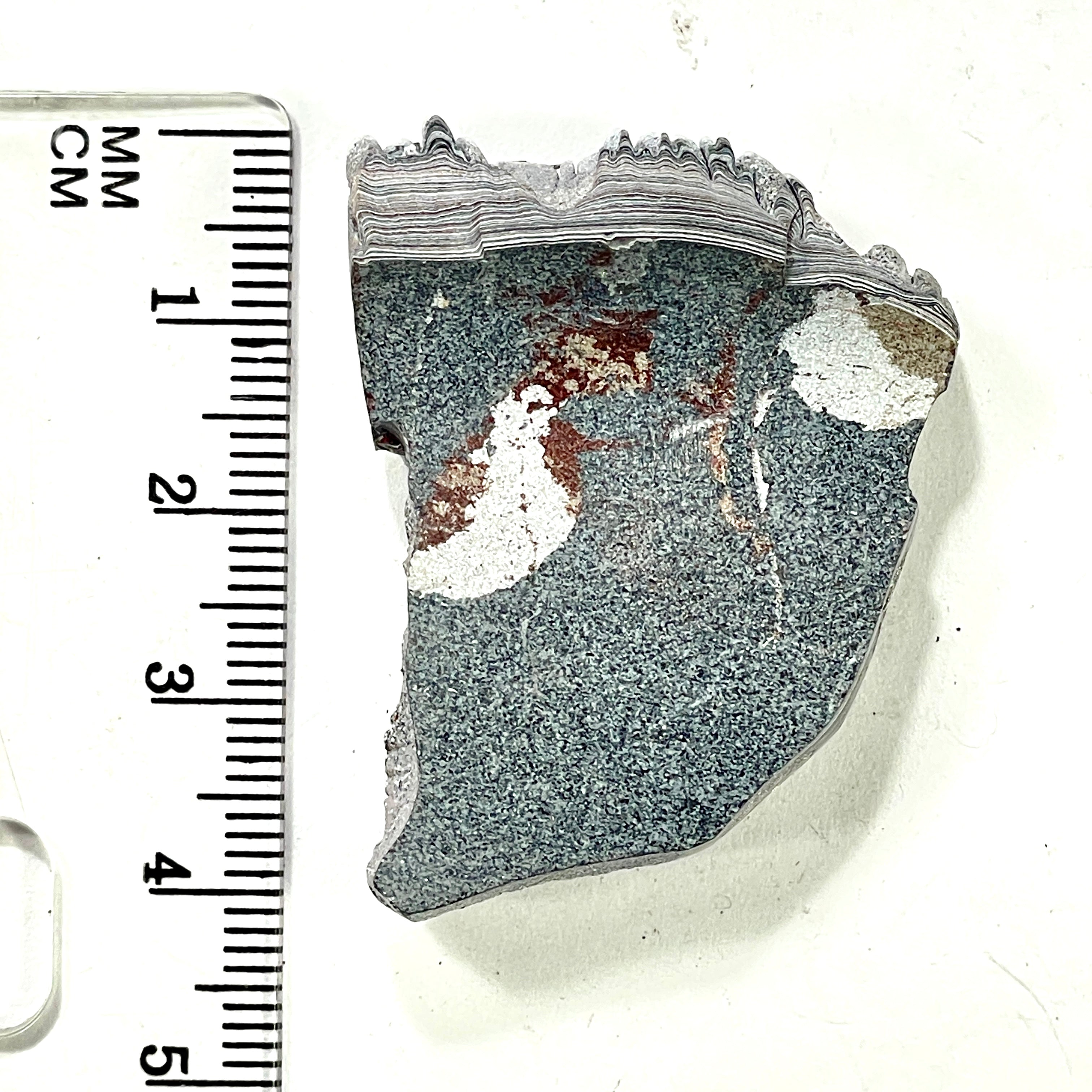 DVH Genuine Ford Fordite Polished Face Rough Dragon Scale KC Ass. (6248) - DVHdesigns