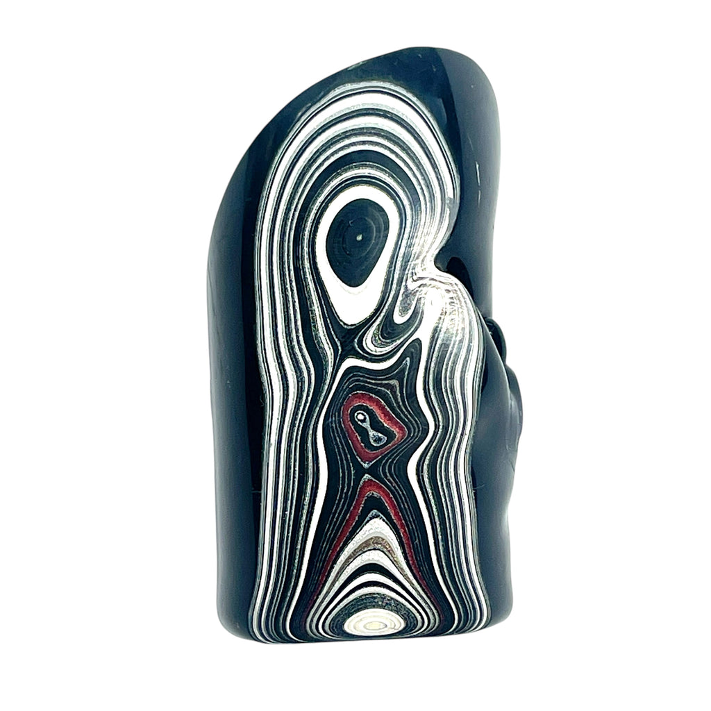 DVH Ford F150 Fordite Specimen Polished Face Rough KC Assembly (6571) - DVHdesigns
