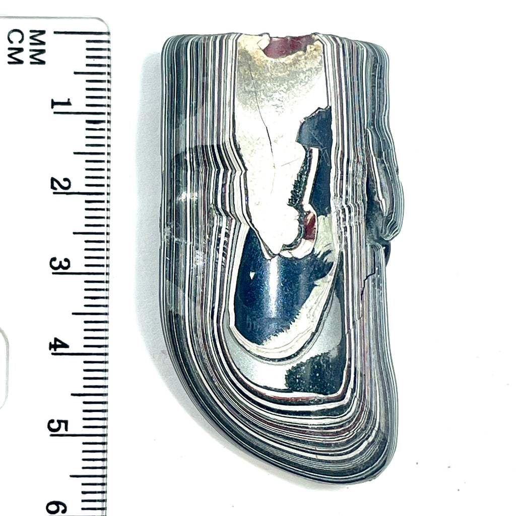 DVH Ford F150 Fordite Specimen Polished Face Rough KC Assembly (6571) - DVHdesigns