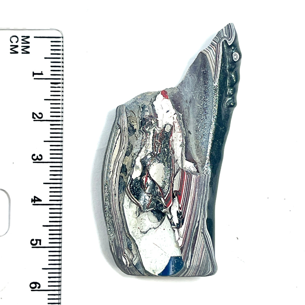 DVH Ford F150 Fordite Specimen Polished Face Rough KC Assembly (6573) - DVHdesigns