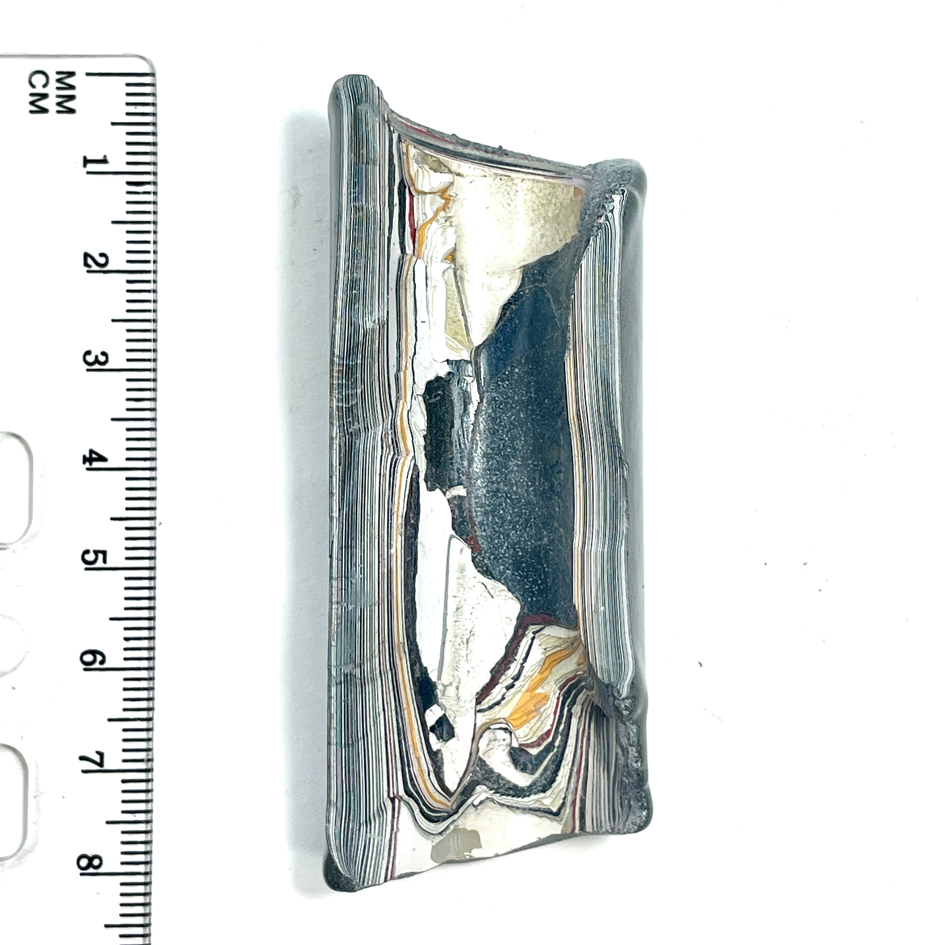 DVH Ford F150 Fordite Specimen Polished Face Rough KC Assembly (6575) - DVHdesigns
