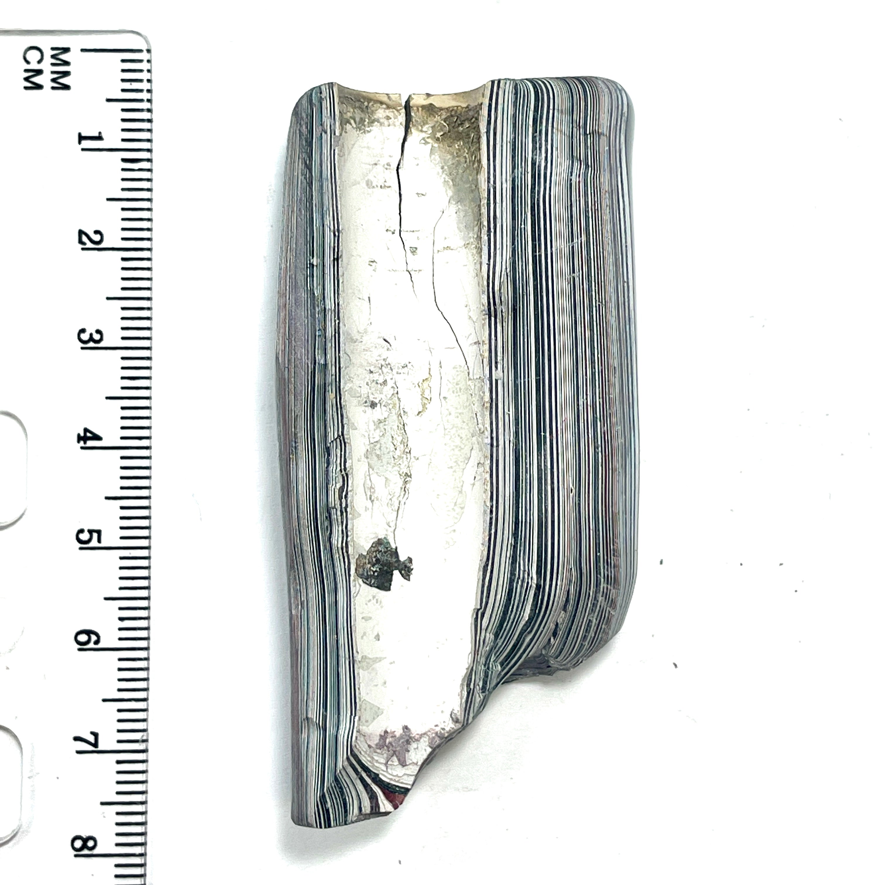 DVH Ford F150 Fordite Specimen Polished Face Rough KC Assembly (6578)
