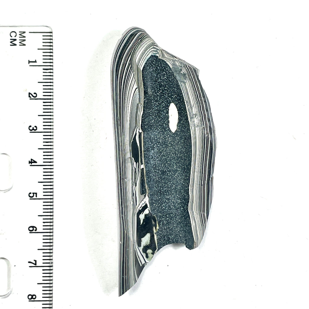 DVH Ford F150 Fordite Specimen Polished Face Rough KC Assembly (6675)