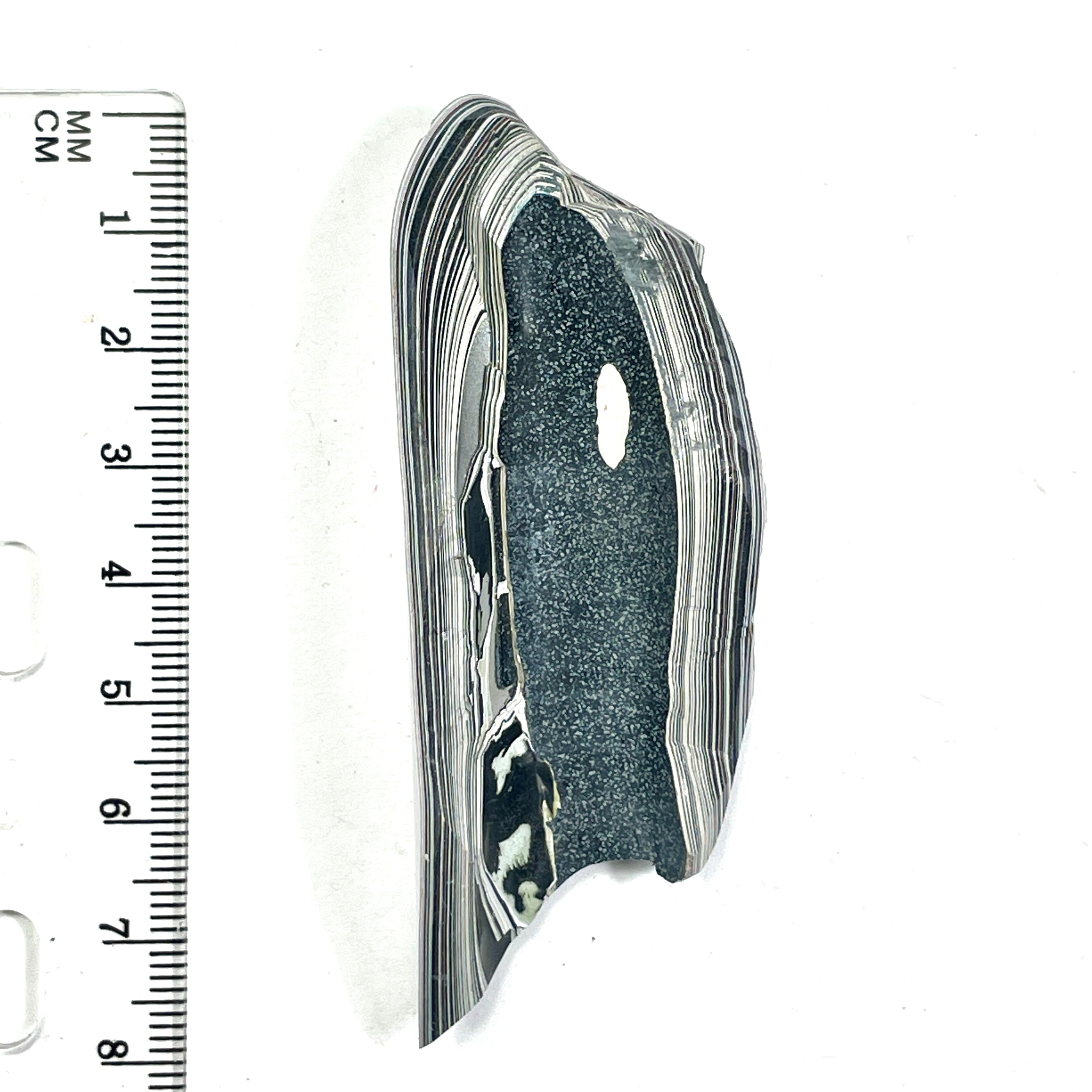 DVH Ford F150 Fordite Specimen Polished Face Rough KC Assembly (6675)