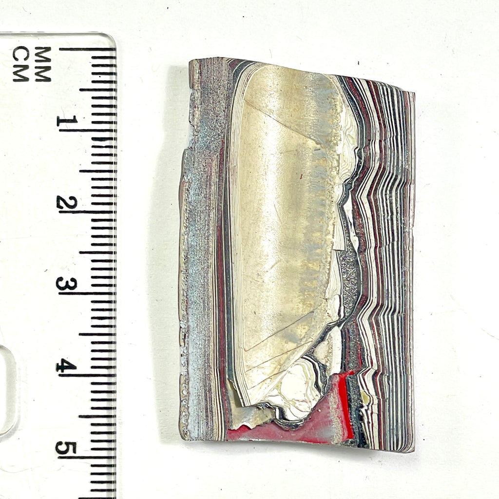 DVH Ford F150 Fordite Specimen Polished Face Rough KC Assembly (6676)
