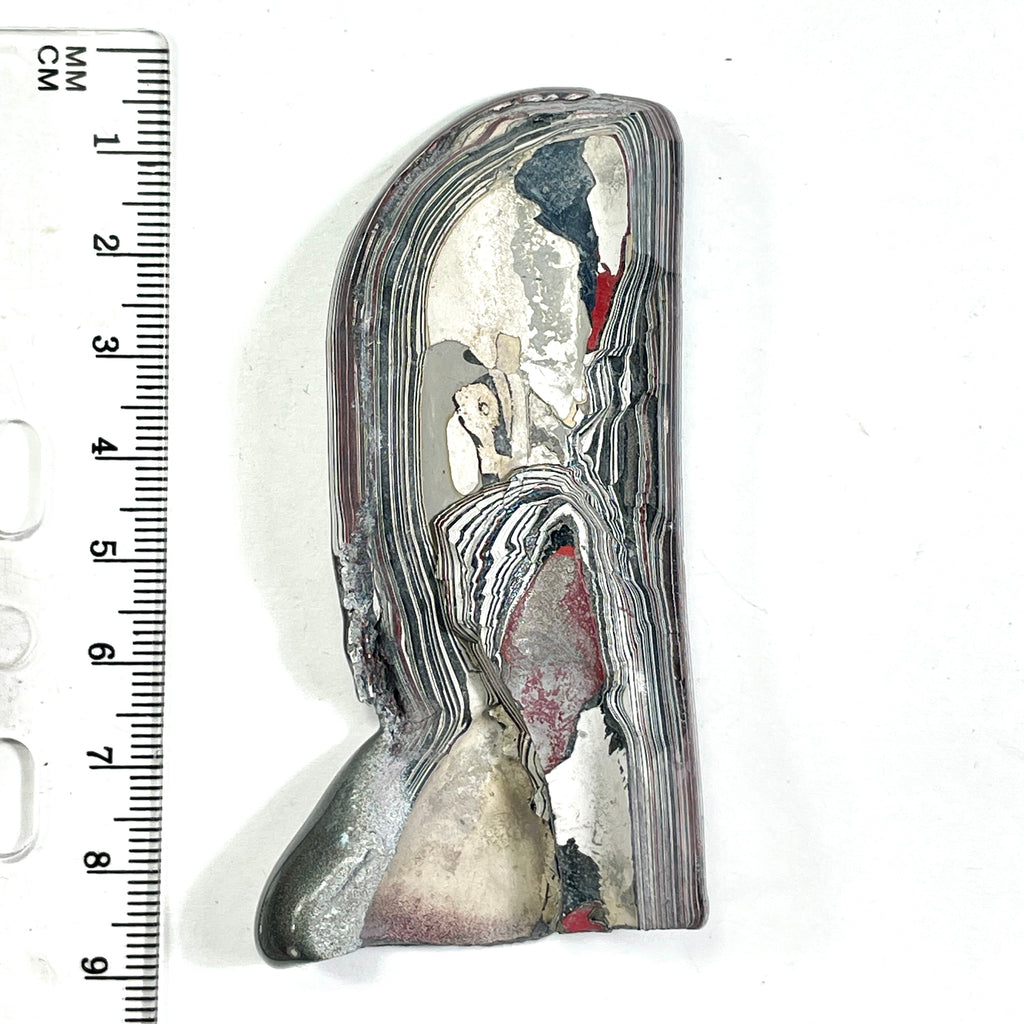 DVH Ford F150 Fordite Specimen Polished Face Rough KC Assembly (6677)