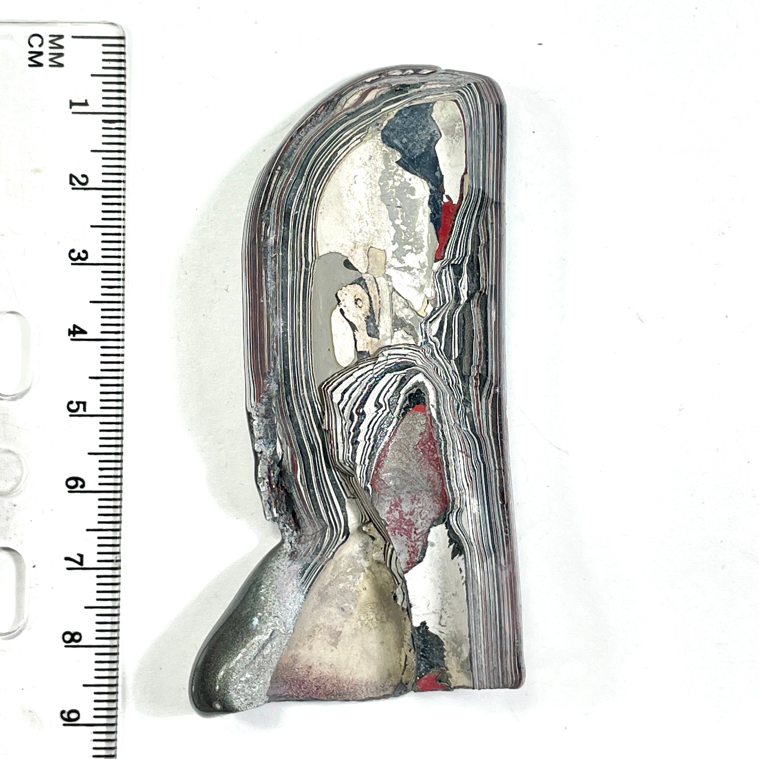 DVH Ford F150 Fordite Specimen Polished Face Rough KC Assembly (6677)