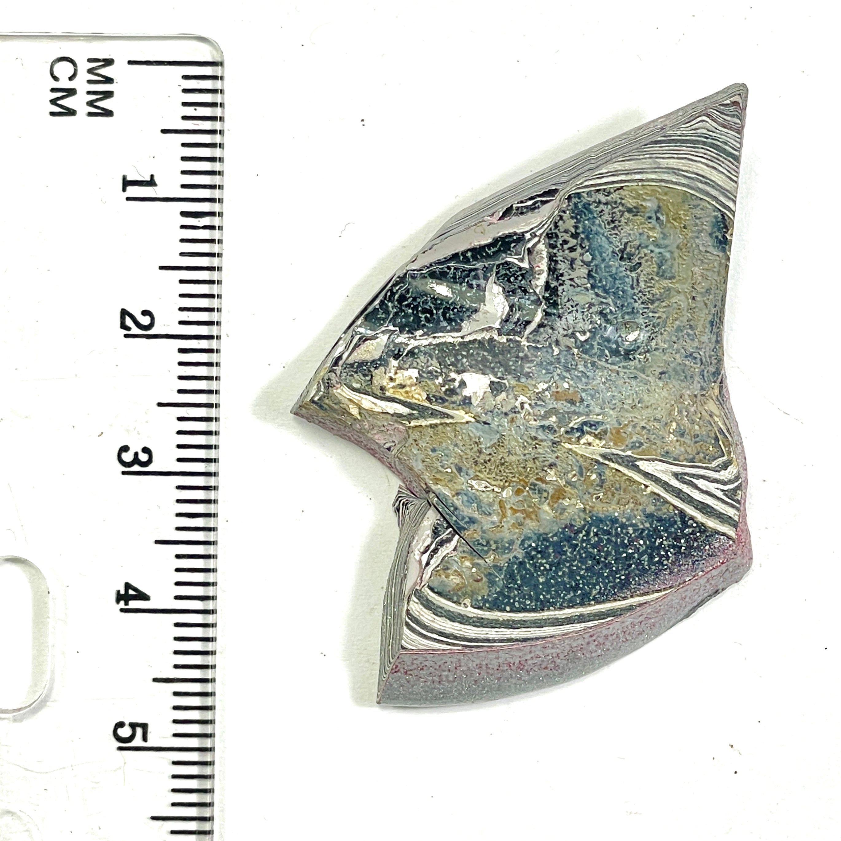 DVH Ford F150 Fordite Specimen Polished Face Rough KC Assembly (6678)