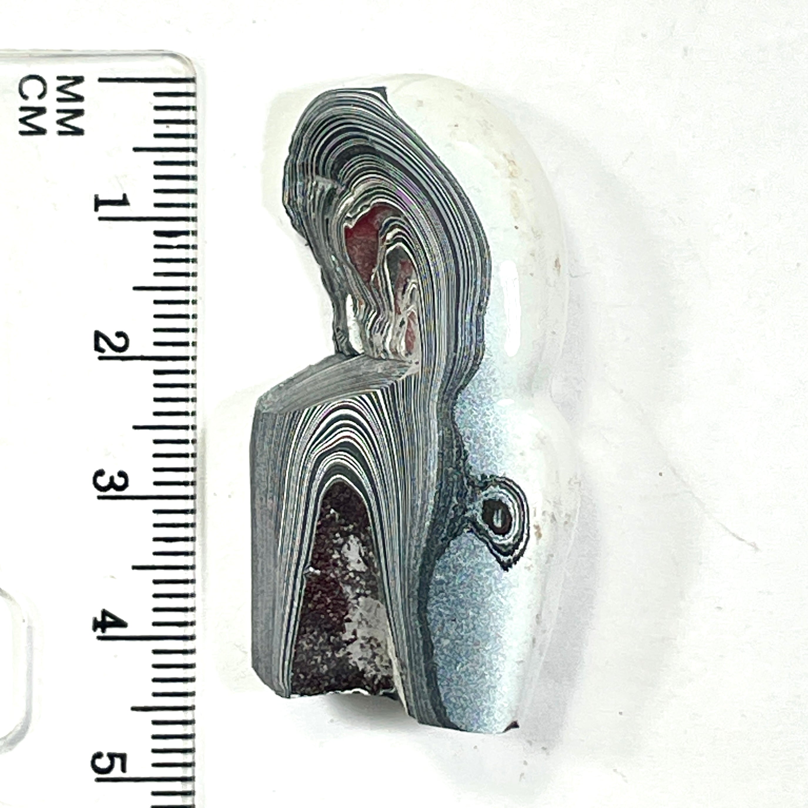 DVH Ford F150 Fordite Specimen Polished Face Rough KC Assembly (6679)