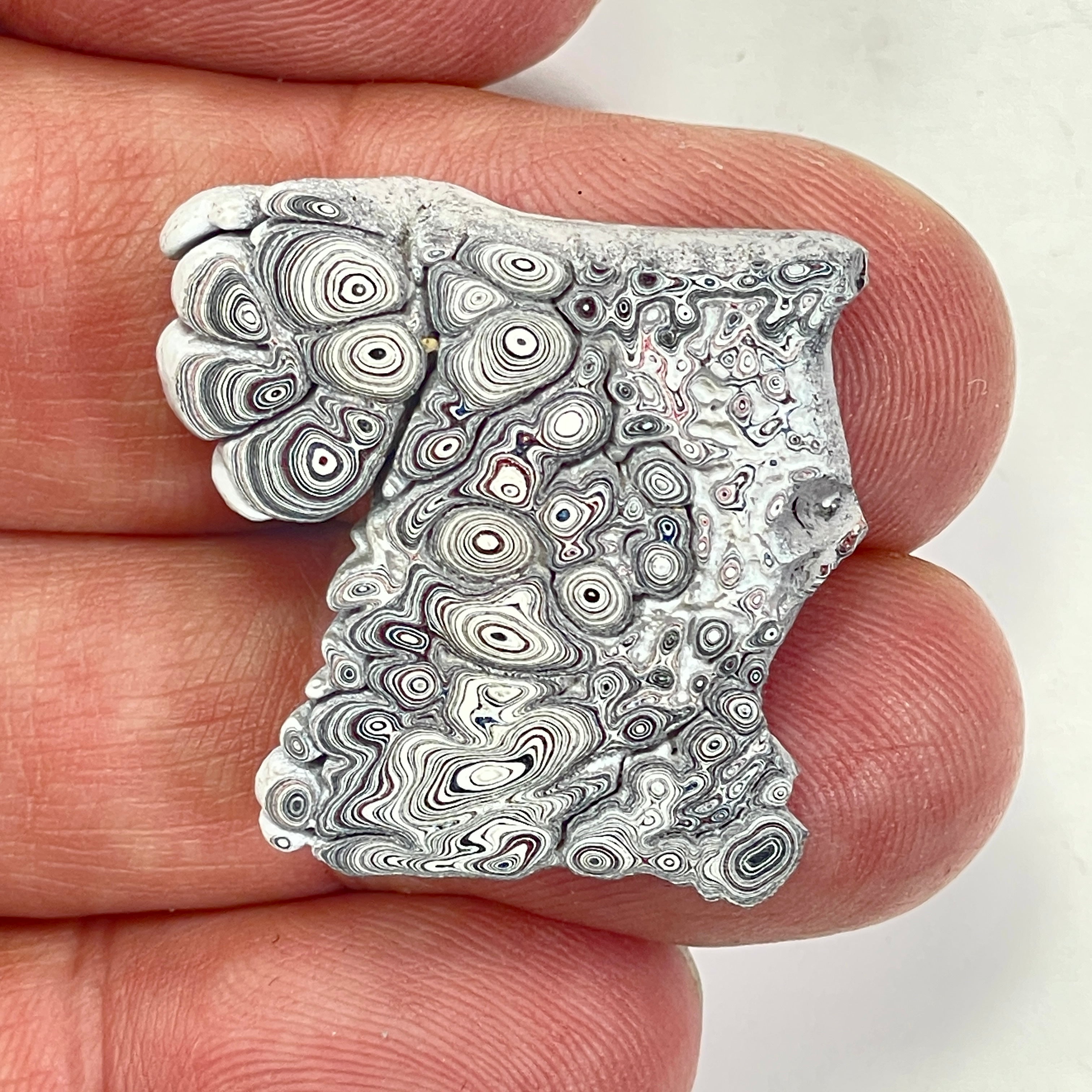 DVH Ford F150 Dragon Scale Fordite Specimen Polished Face KC Assembly (6680)