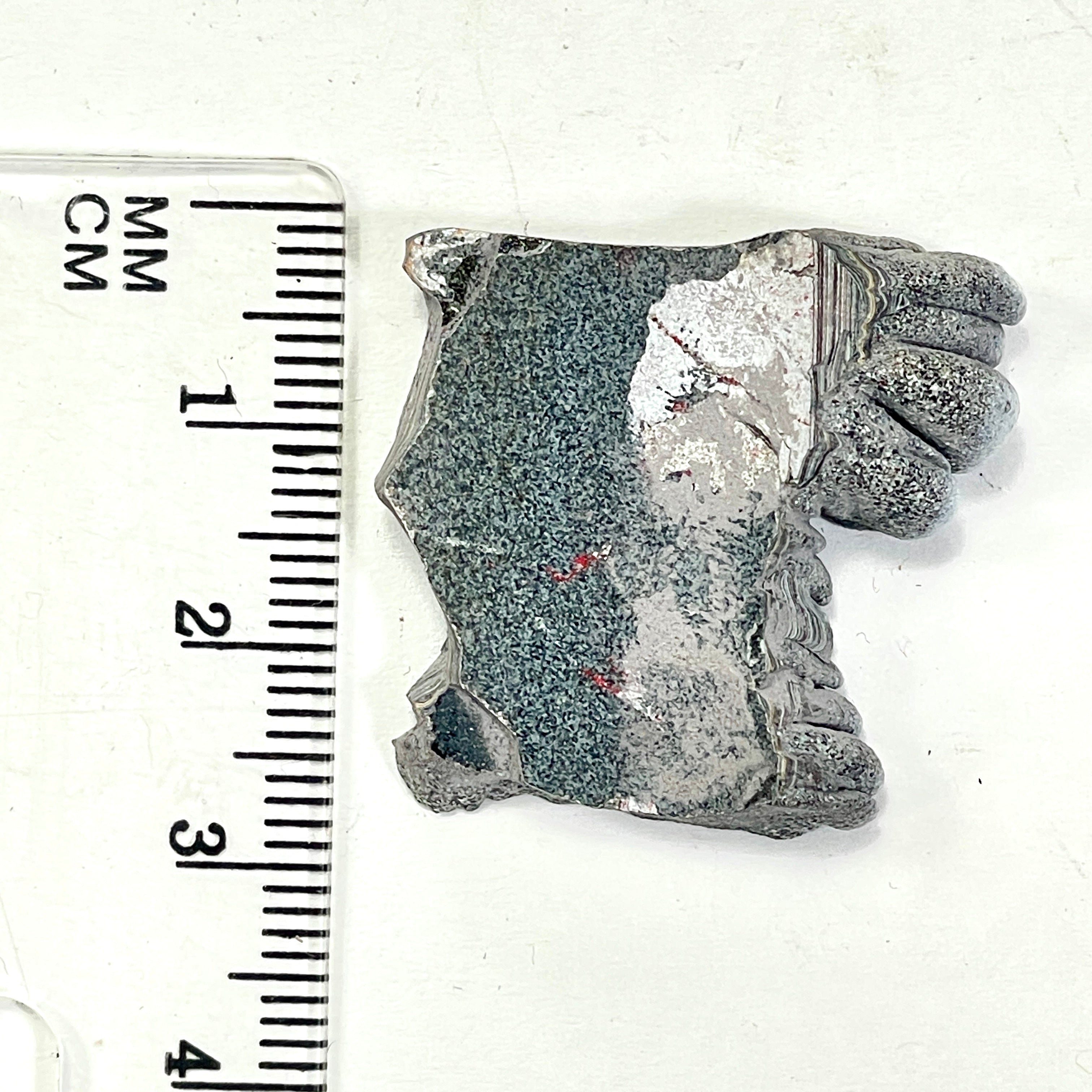 DVH Ford F150 Dragon Scale Fordite Specimen Polished Face KC Assembly (6680)