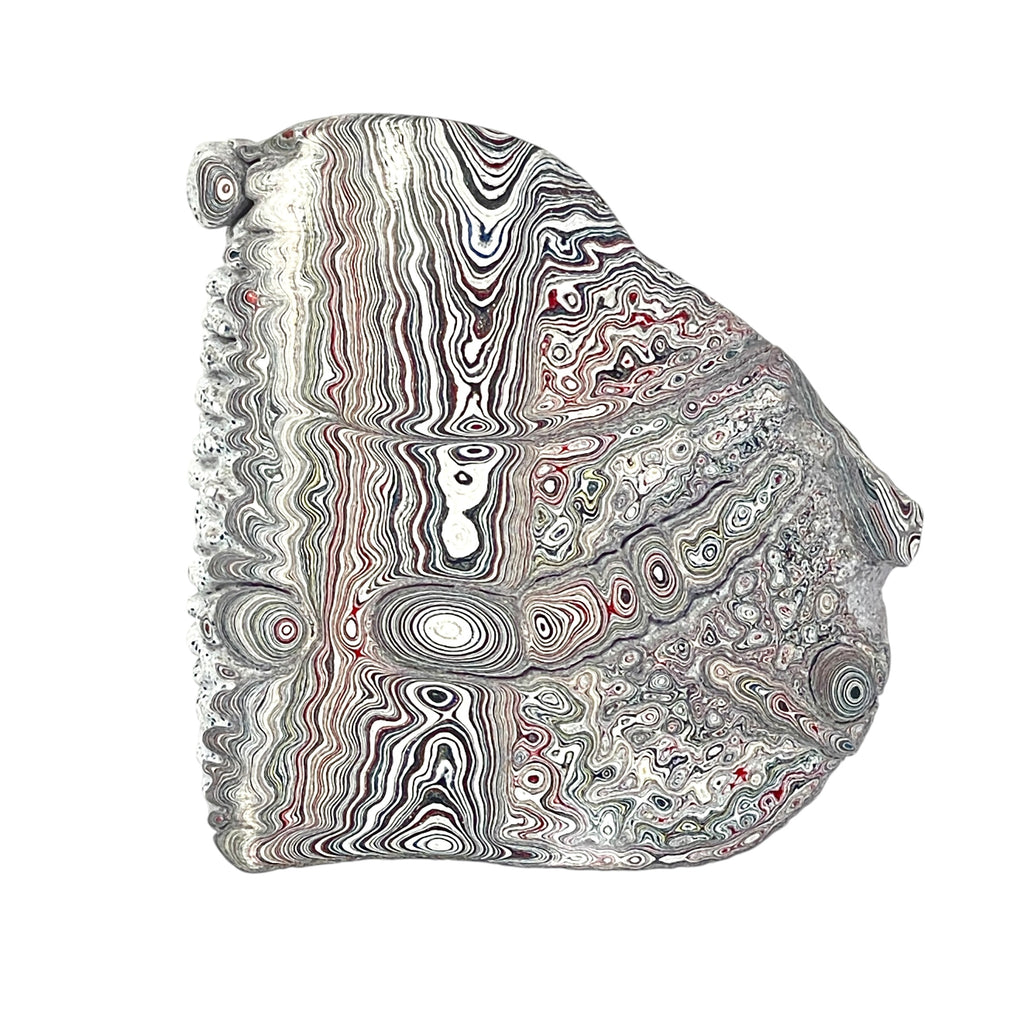 DVH Ford F150 Dragon Scale Fordite Specimen Polished Face KC Assembly (6681)