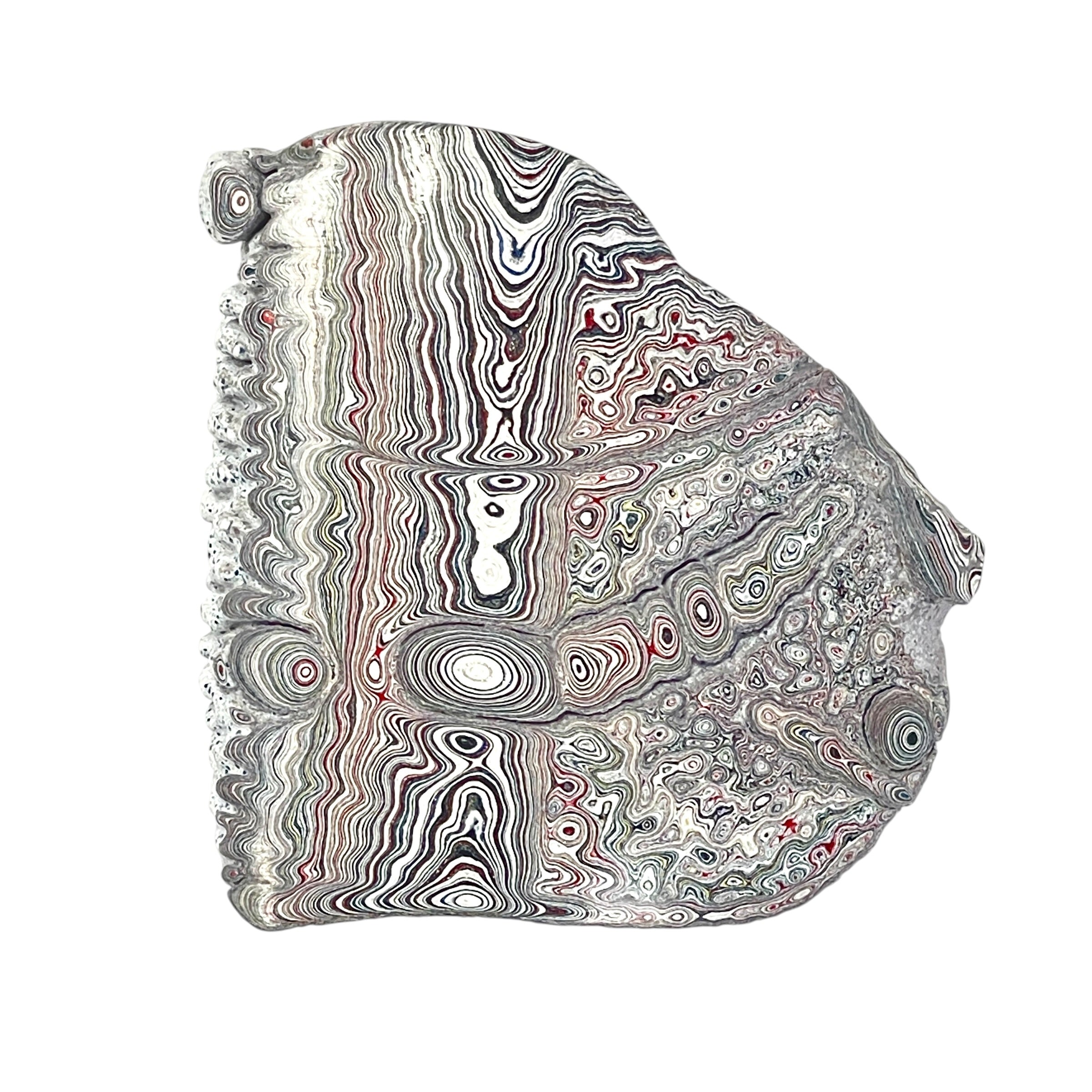 DVH Ford F150 Dragon Scale Fordite Specimen Polished Face KC Assembly (6681)