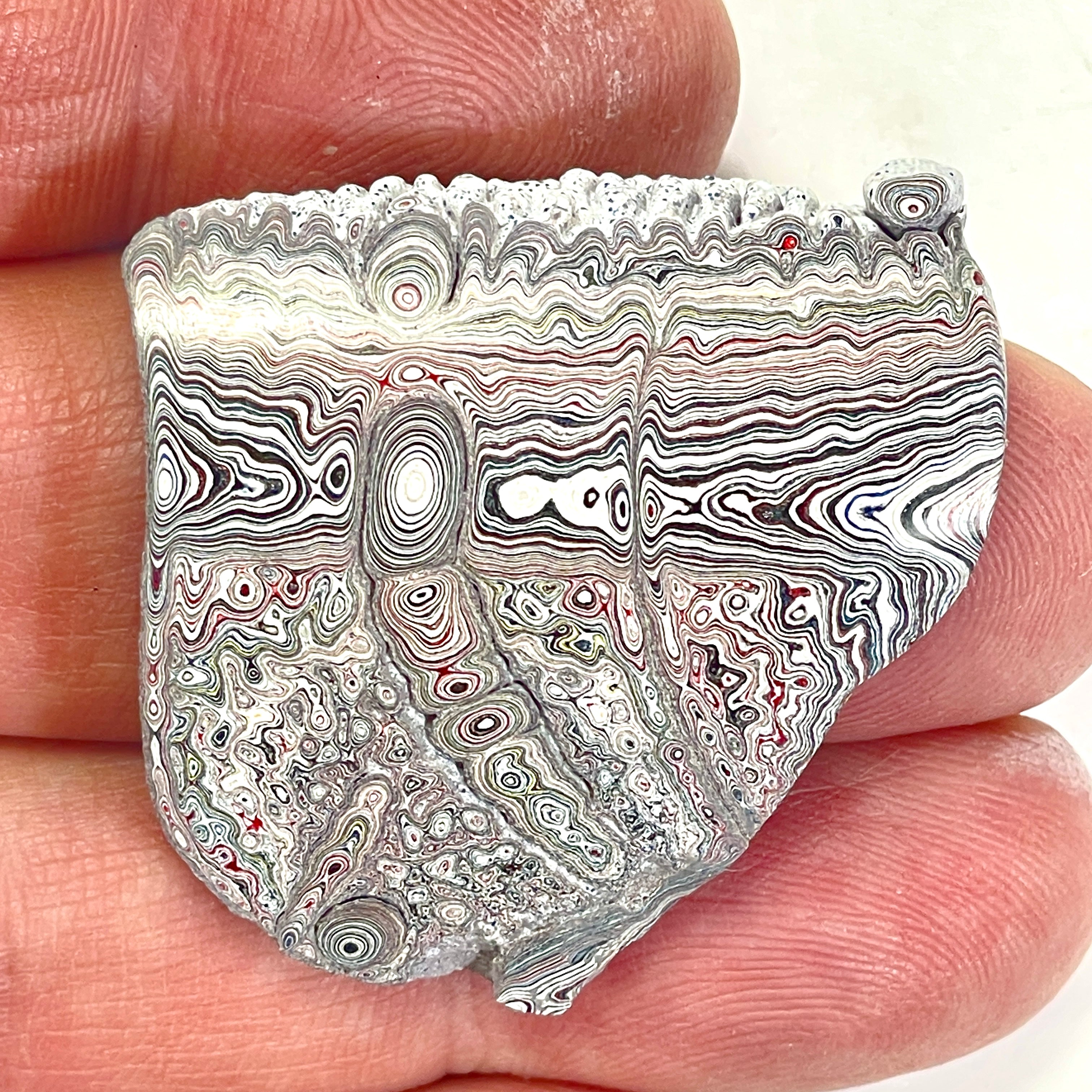 DVH Ford F150 Dragon Scale Fordite Specimen Polished Face KC Assembly (6681)