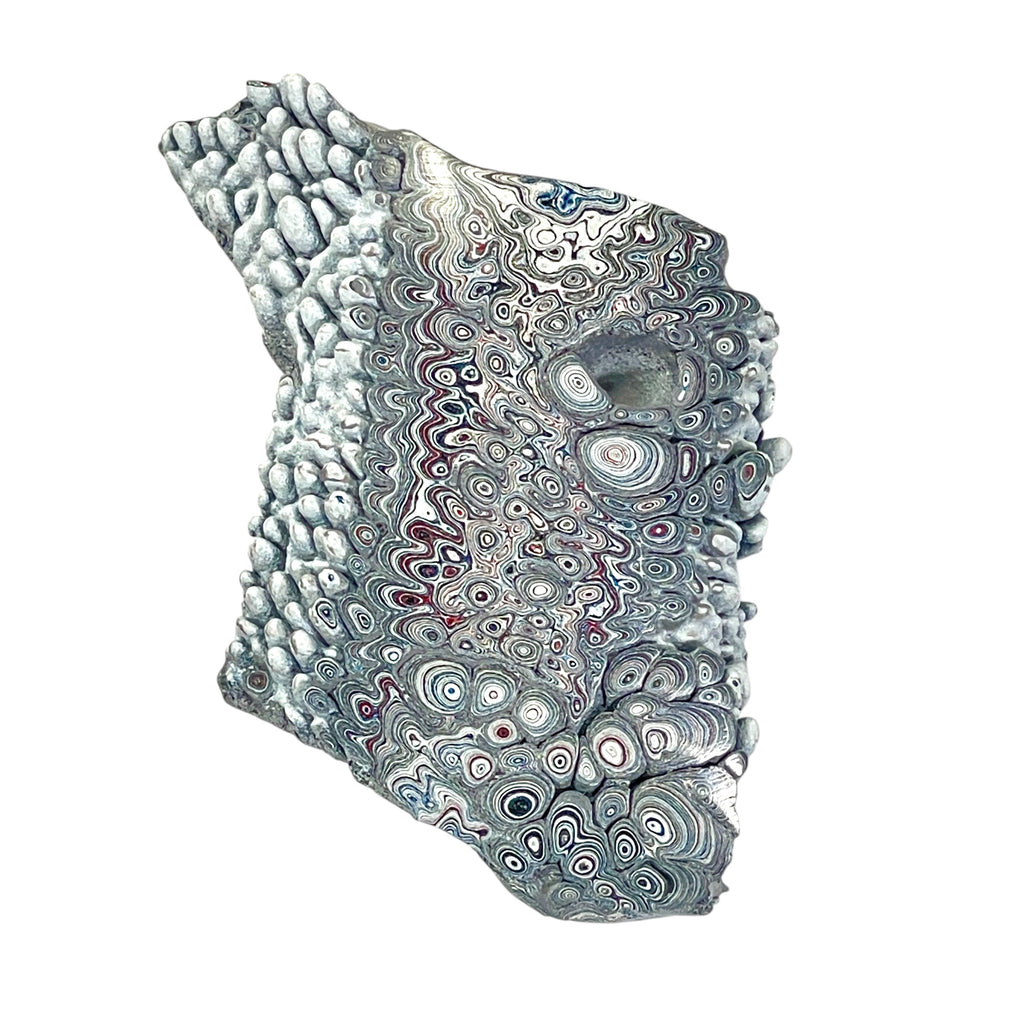 DVH Ford F150 Dragon Scale Fordite Specimen Polished Face KC Assembly (6682)