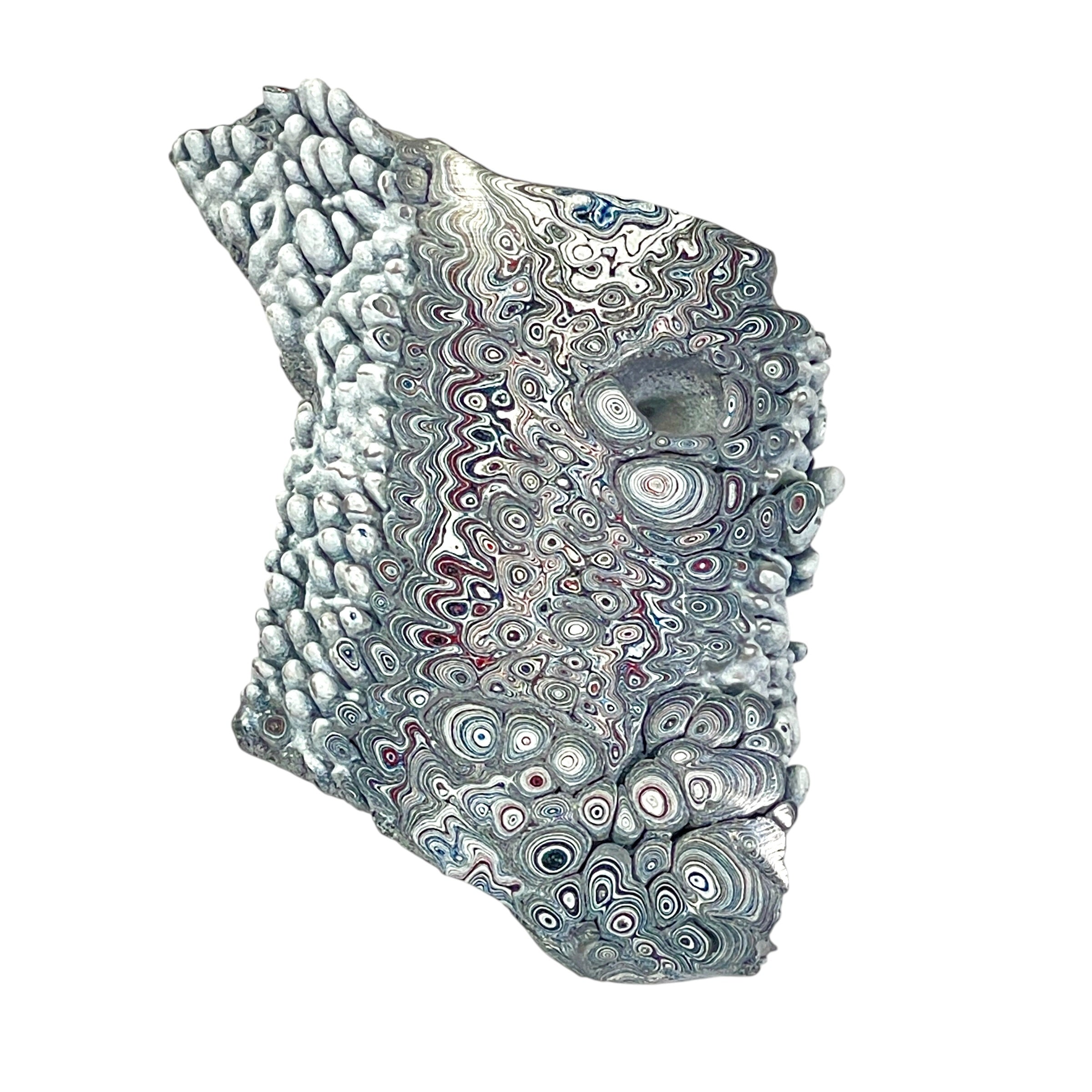 DVH Ford F150 Dragon Scale Fordite Specimen Polished Face KC Assembly (6682)